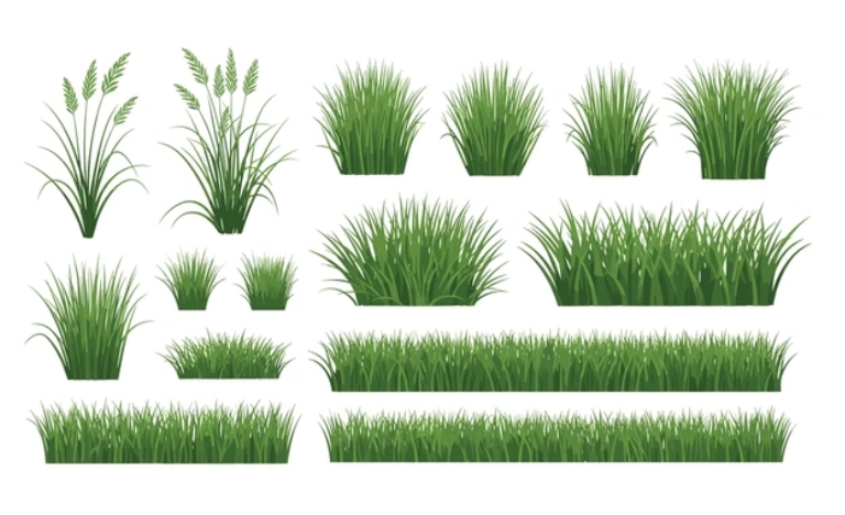 Tải 15+ mẫu cỏ vector đầy đủ định dạng AI, PNG, SVG, CDR, EPS miễn phí