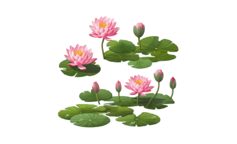 Tải 15+ mẫu đầm sen vector đầy đủ định dạng AI, PNG, SVG, CDR, EPS miễn phí