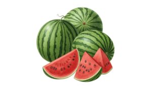 Tải dưa hấu vector miễn phí - Định dạng AI, PNG, SVG, CDR, EPS