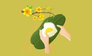 Tải mẫu gói bánh chưng vector chuẩn sắc nét - Định dạng AI, PNG, SVG, CDR, EPS