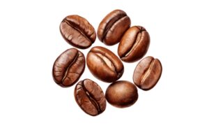Tải 20+ mẫu hạt cà phê vector đầy đủ định dạng AI, PNG, SVG, CDR, EPS miễn phí