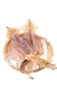 khô mực vector