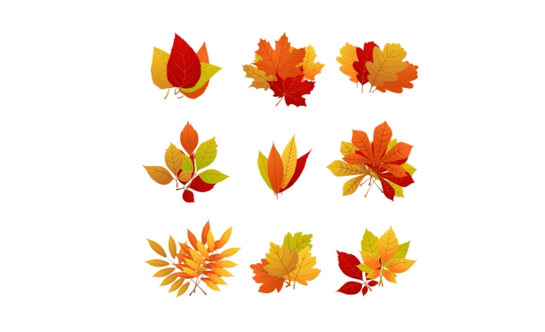 Tải 20+ mẫu lá mùa thu vector đầy đủ định dạng AI, PNG, SVG, CDR, EPS miễn phí
