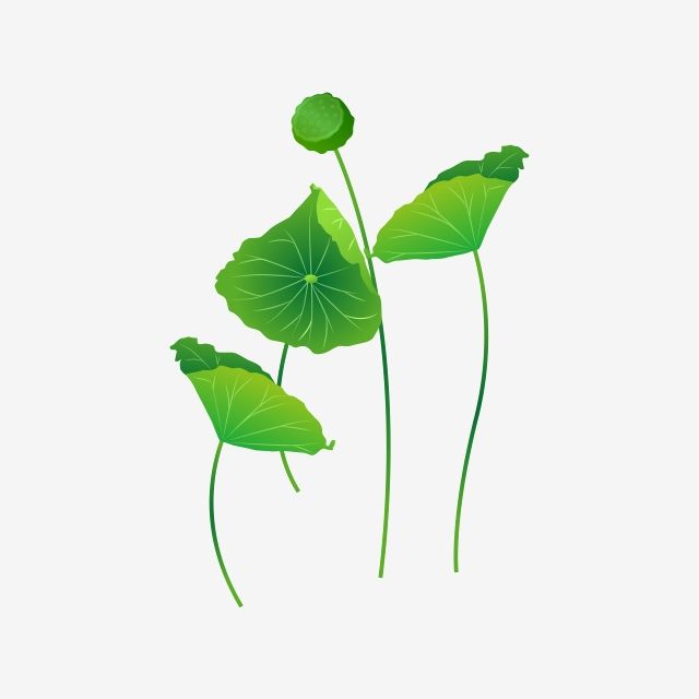 Mẫu thiết kế lá sen 03