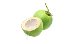 Tải quả dừa vector chuẩn sắc nét - Định dạng AI, PNG, SVG, CDR, EPS