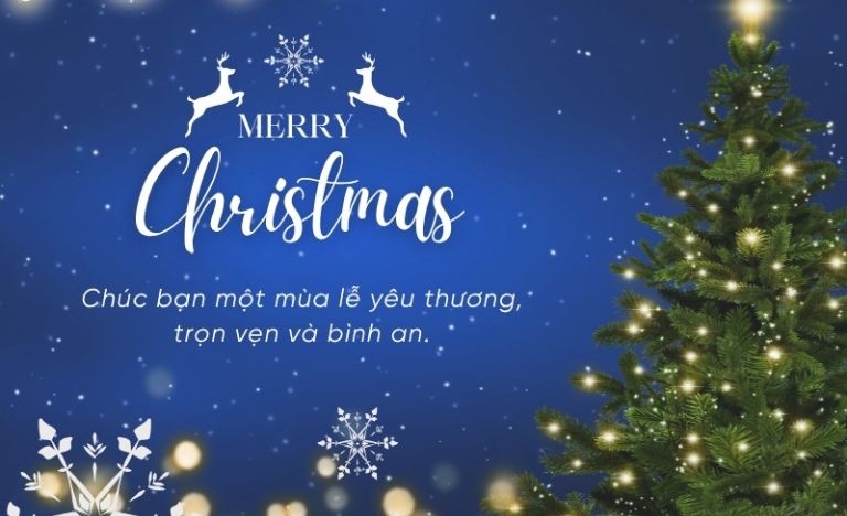 Tải 15+ mẫu thiệp giáng sinh vector chuẩn sắc nét - Định dạng AI, PNG, SVG, EPS, CDR