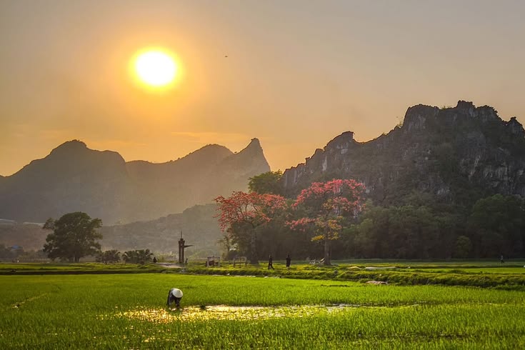 background đồng quê