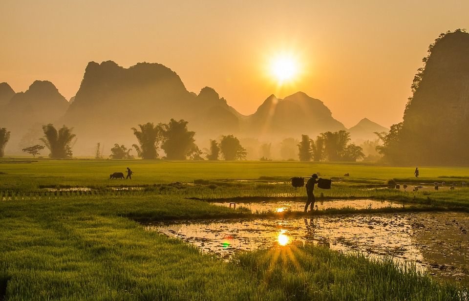 Background làng quê Việt Nam