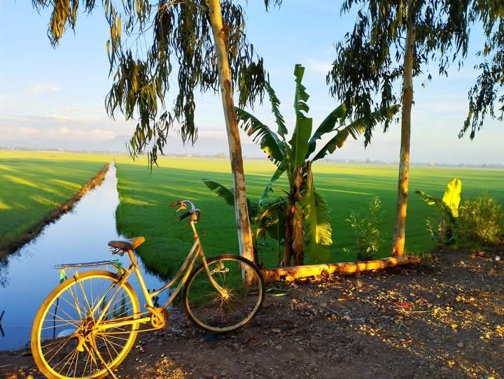 Background góc nhỏ ở làng quê