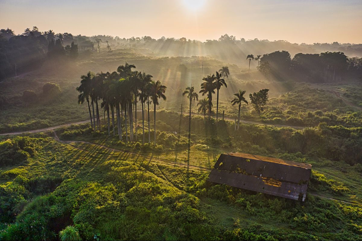 Background làng quê Việt Nam đẹp 03