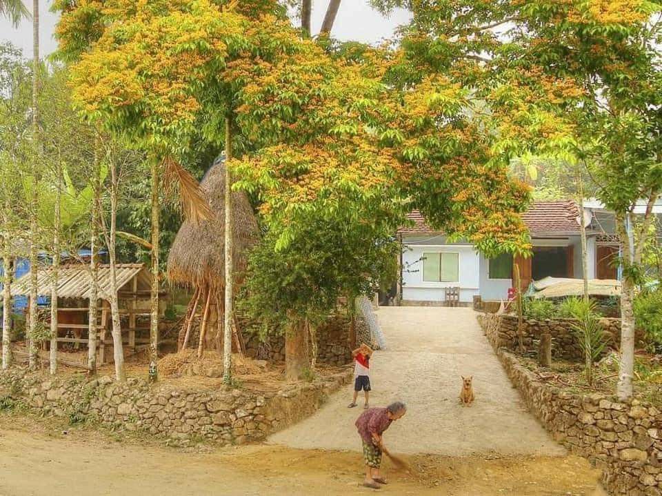 Background làng quê Việt Nam đẹp 05