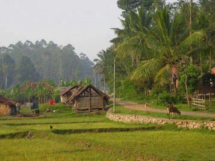 Background làng quê Việt Nam đẹp 08