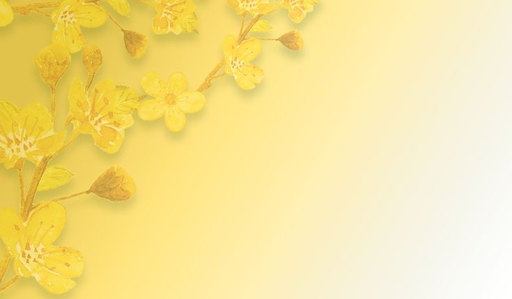 Background hoa mai vàng