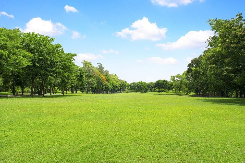 background ngoại cảnh